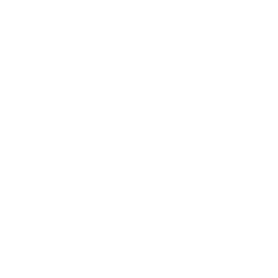 CDショップ & 配信サービス スタッフコメント